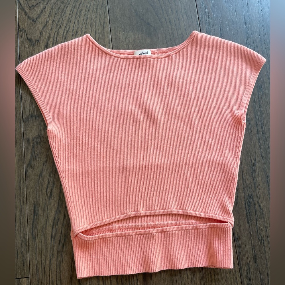 Aritzia top